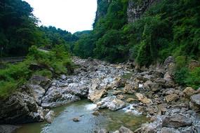 整治人居环境“不停歇” 助力城市提颜值